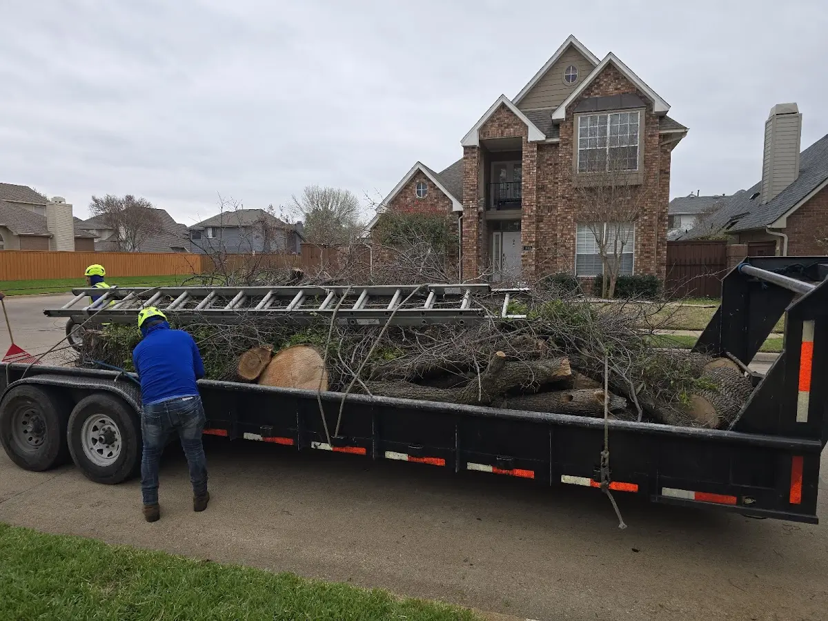 Expert Tree Removal with proper safety equipment in Mooreville